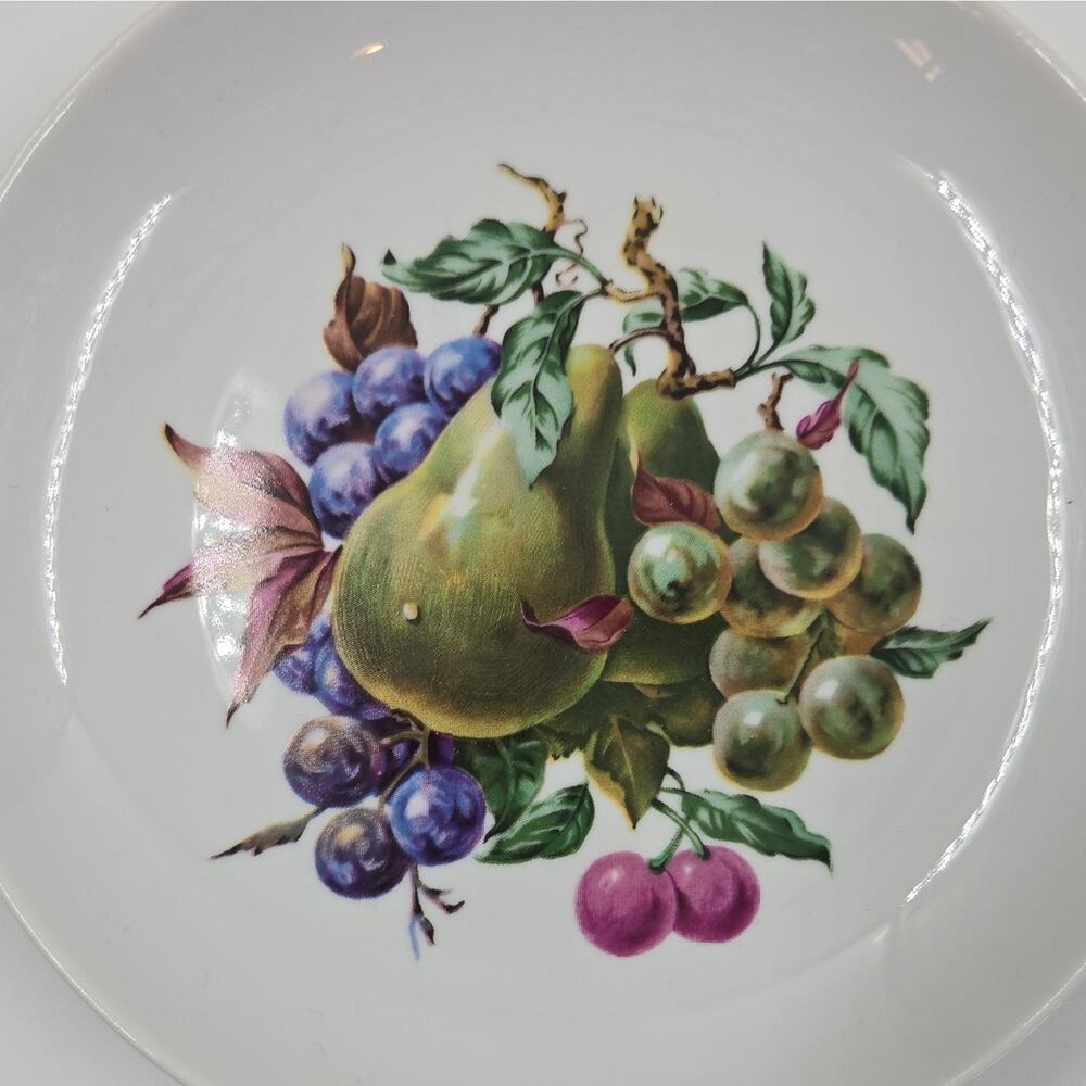 Naaman Fruit Pattern Dinner Plates Set of 4 White Multicolor Ceramic Round - Picture 5 of 7
